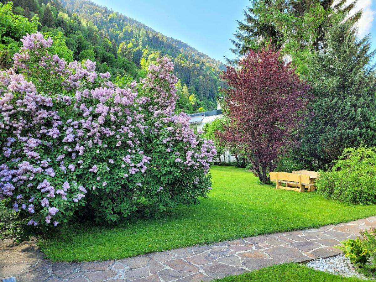 Panorama Apartments - Steinbock Lodges Zell am See Ngoại thất bức ảnh